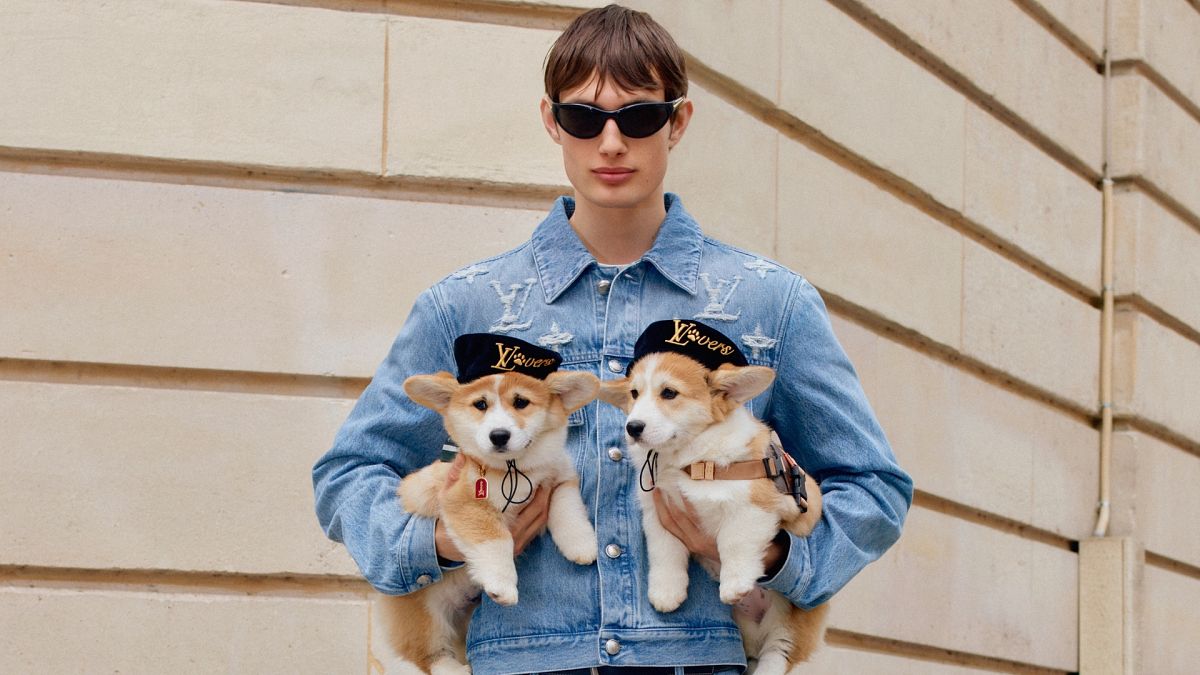Gone to the dogs? Louis Vuitton goes barking mad with new canine collection 