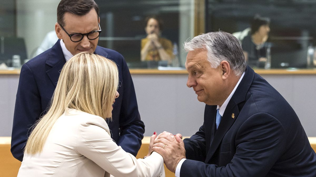 Europe&rsquo;s fractured right wing can disrupt EU agenda if it finds greater unity - experts 