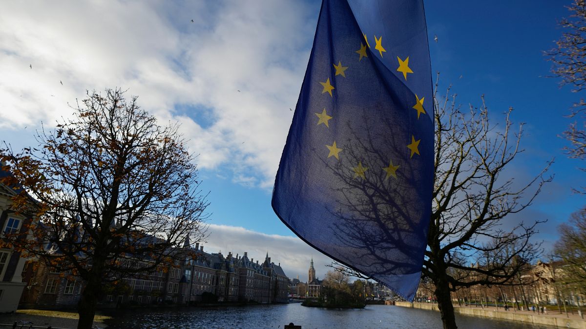 Over half of European voters think climate action is a priority, exclusive Euronews poll reveals