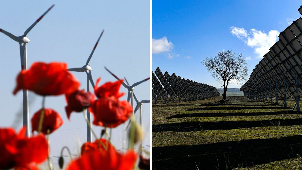 &lsquo;Unprecedented collapse&rsquo; in EU coal and gas electricity generation last year, report reveals 