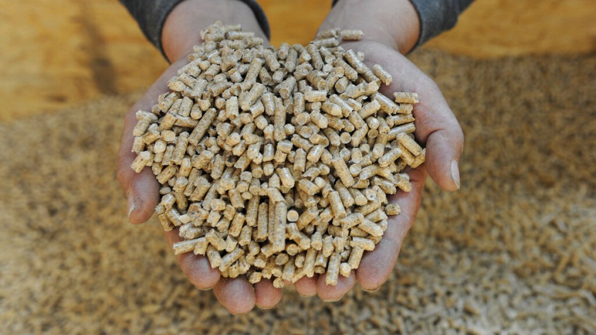 Conservationists alarmed at new market for carbon removal certificates 