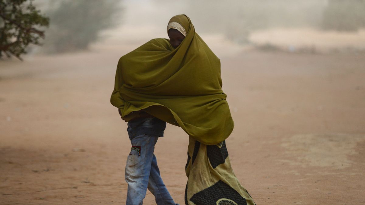 10 million children displaced in 2023 - NGO