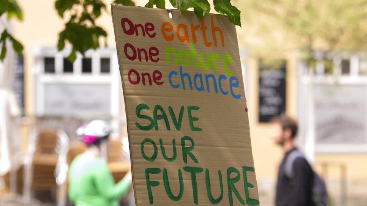 German vacillation puts corporate sustainability law in doubt 