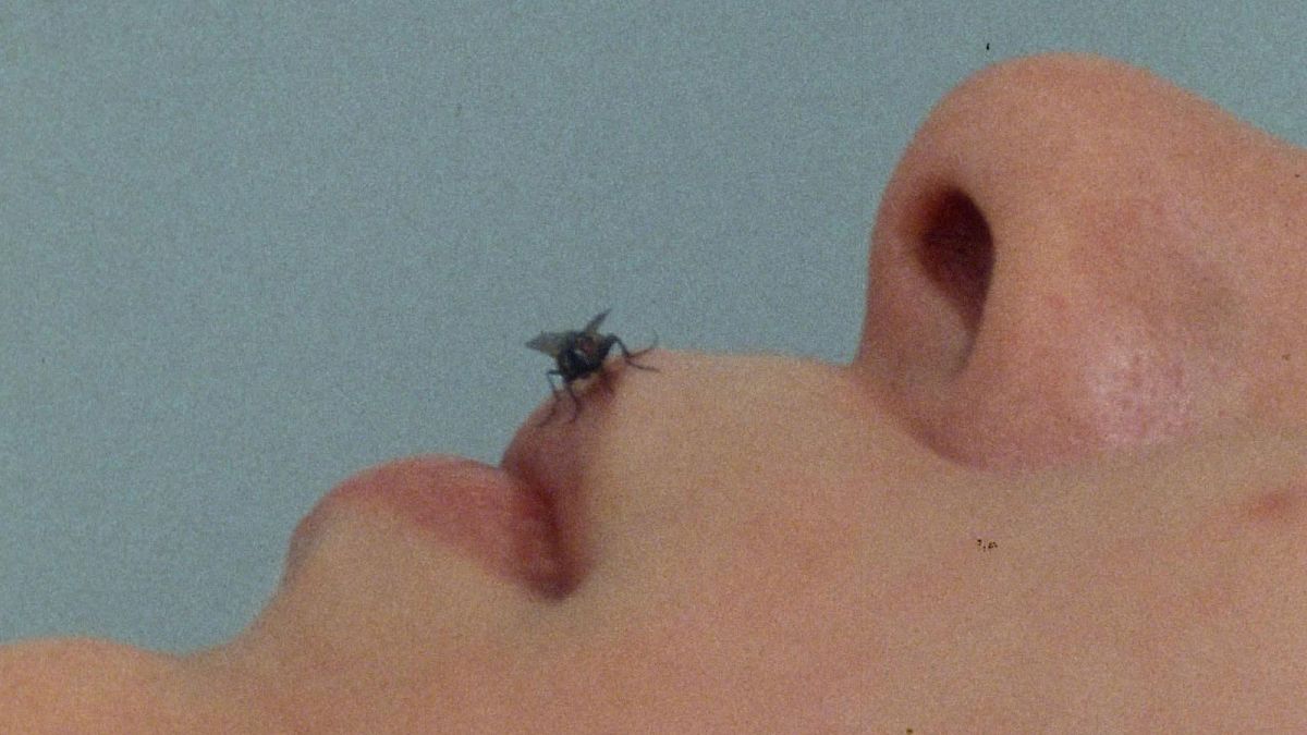 Cultural Digest: Don’t miss these events in Europe this week
