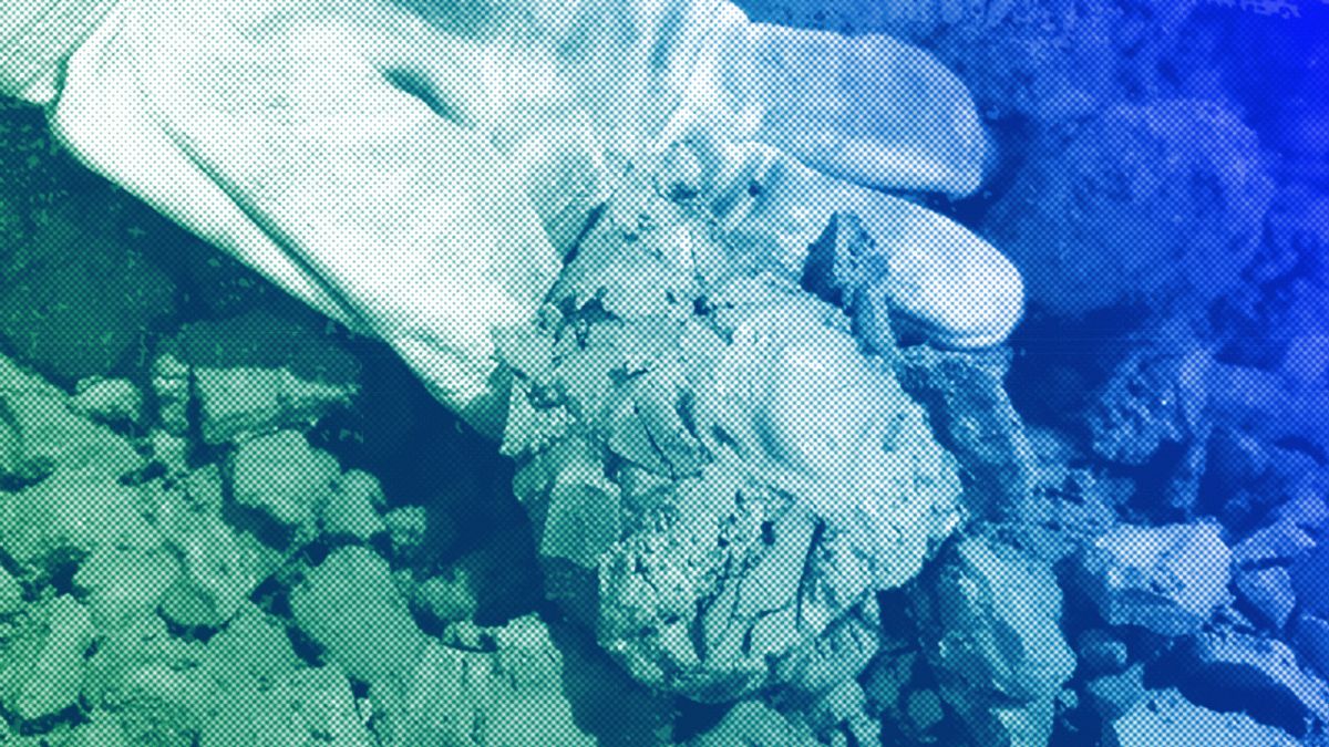 Norway made a mistake in its decision to move towards deep-sea mining