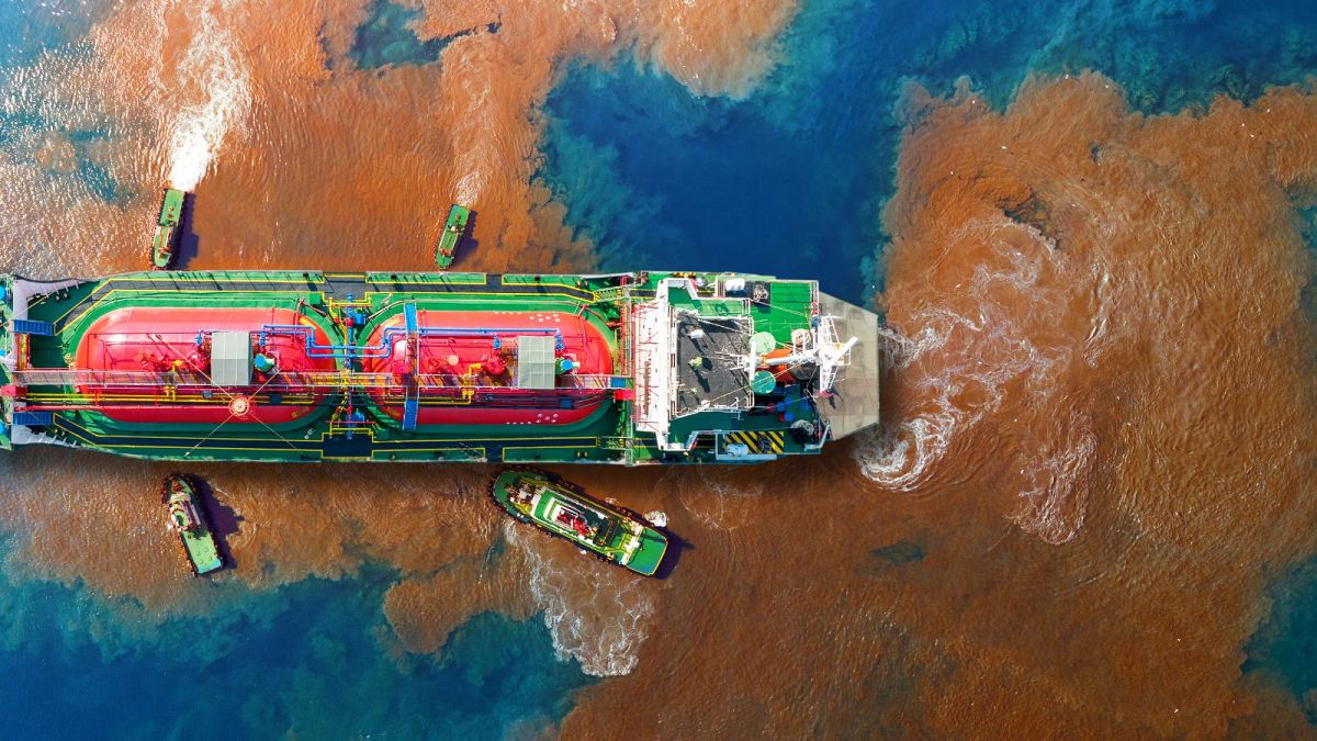 &lsquo;Revolutionary&rsquo;: EU criminalises the most serious cases of ecosystem destruction  