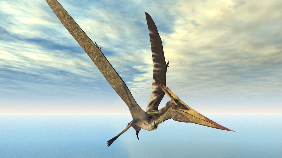 New dinosaur-like reptile discovered in Scotland after bones found on field trip 