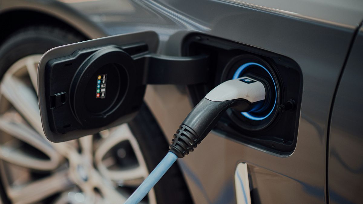Cars powered by woodchips: Biographite makes EV batteries sustainable
