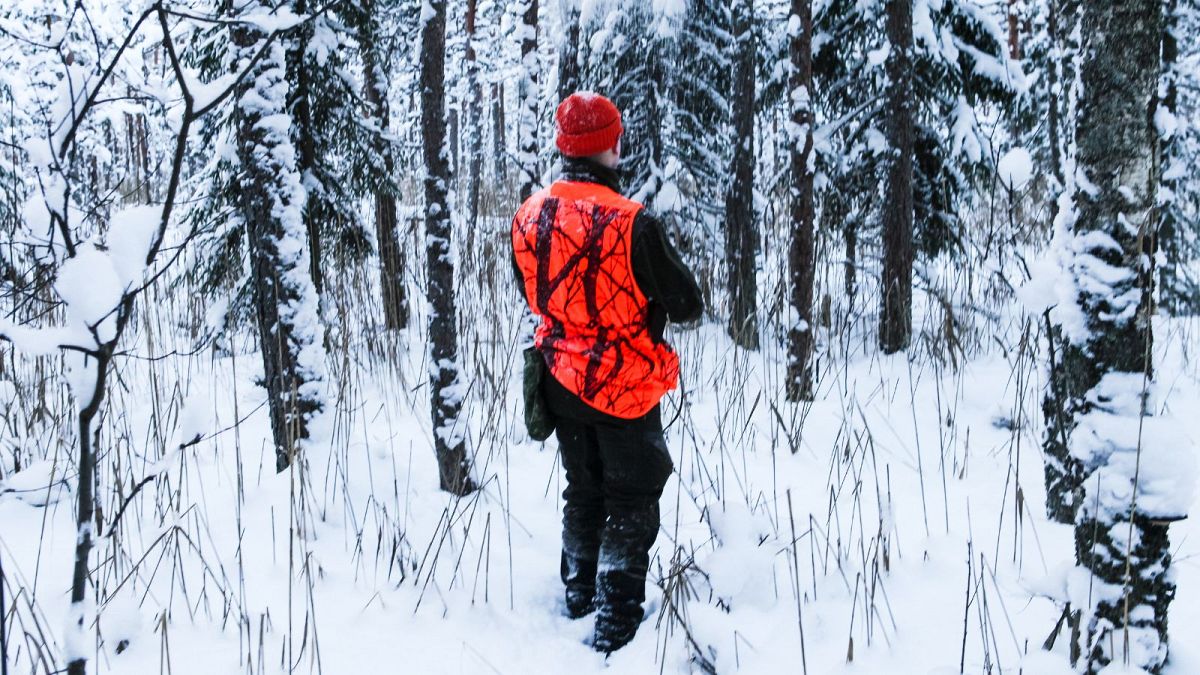 An Estonian wolf hunt took me deep into Europe’s culture war over culling the wild species