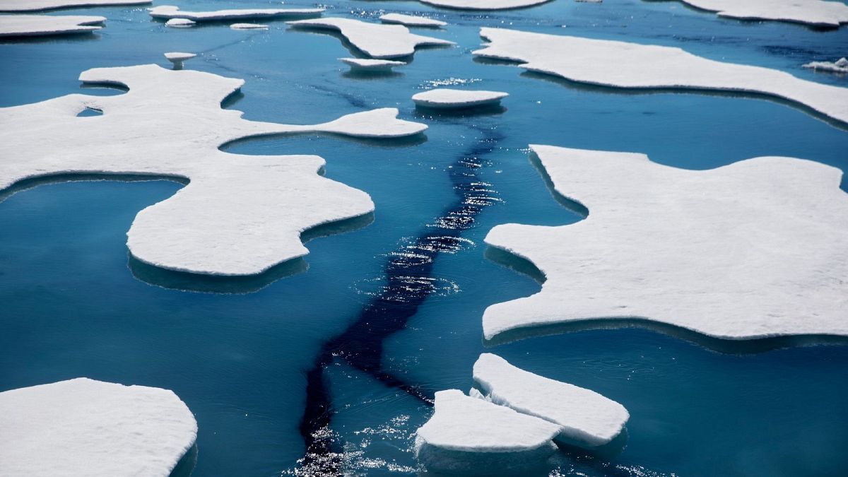 When will the Arctic be ice-free? Scientists predict brink could be crossed within a decade 