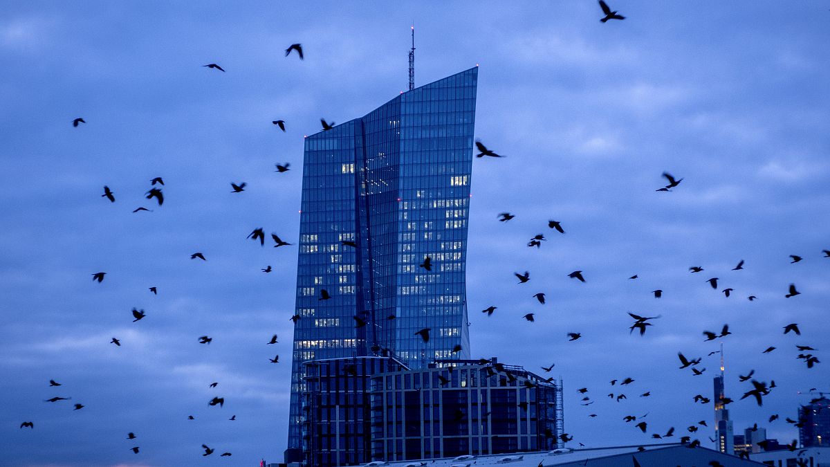 The Week Spotlight: ECB rate decision takes centre stage