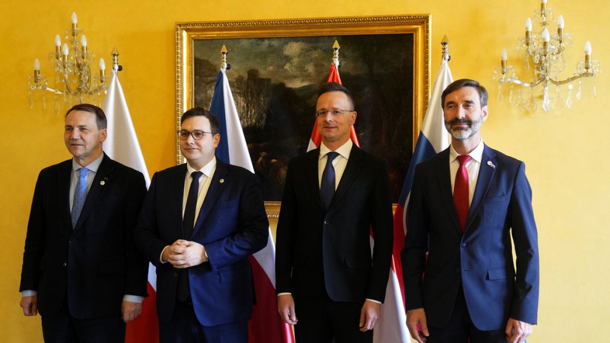 Visegrád Group still deeply divided on sending arms to Ukraine
