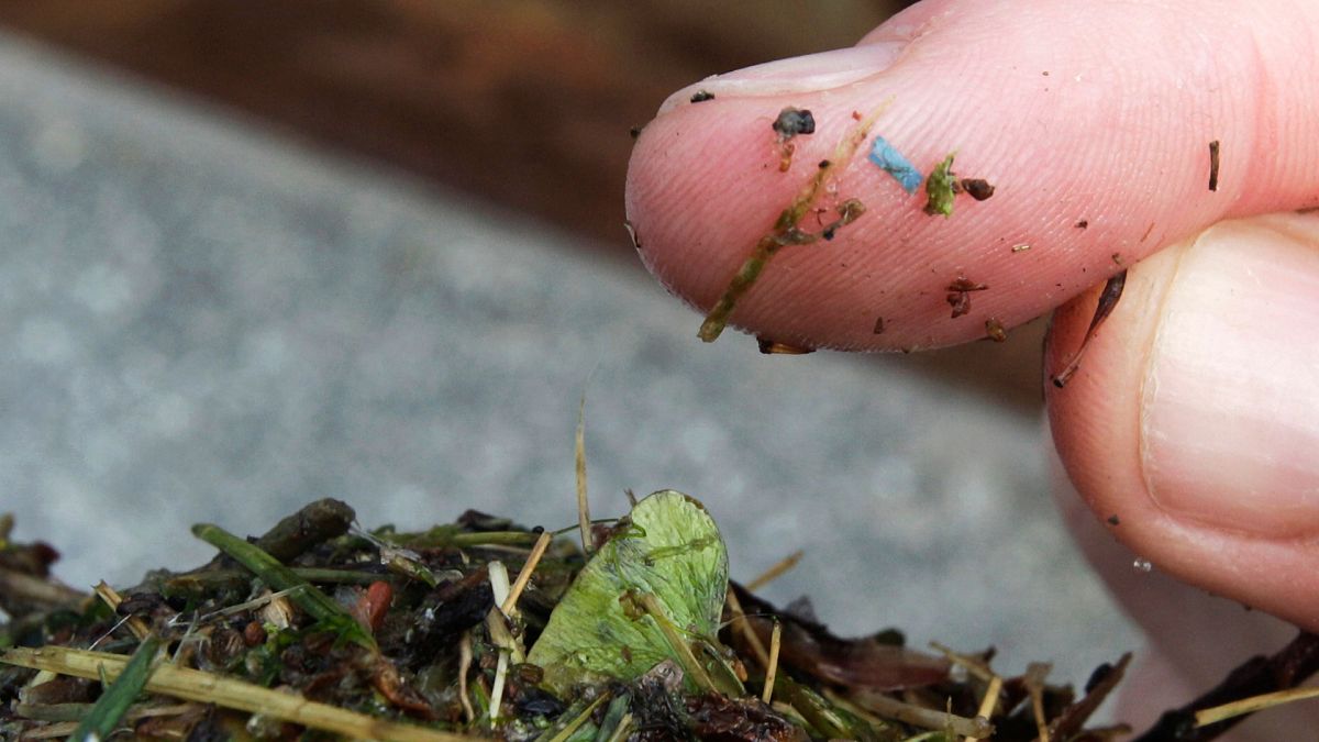 Scientists find evidence of microplastic contamination in &lsquo;pristine&rsquo; archaeological remains 