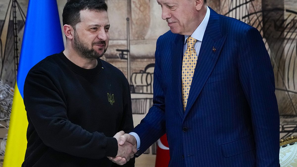 Turkey's Erdogan offers to host Ukraine-Russia peace talks 