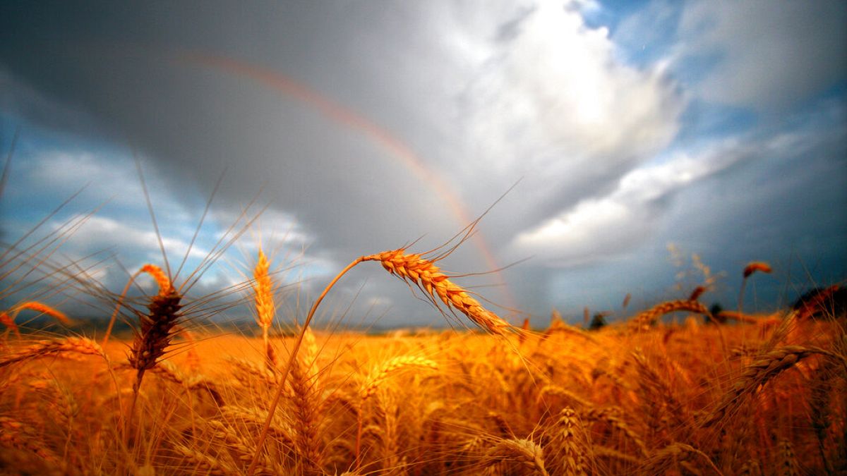 Climate change could turn up the heat on inflation, according to report