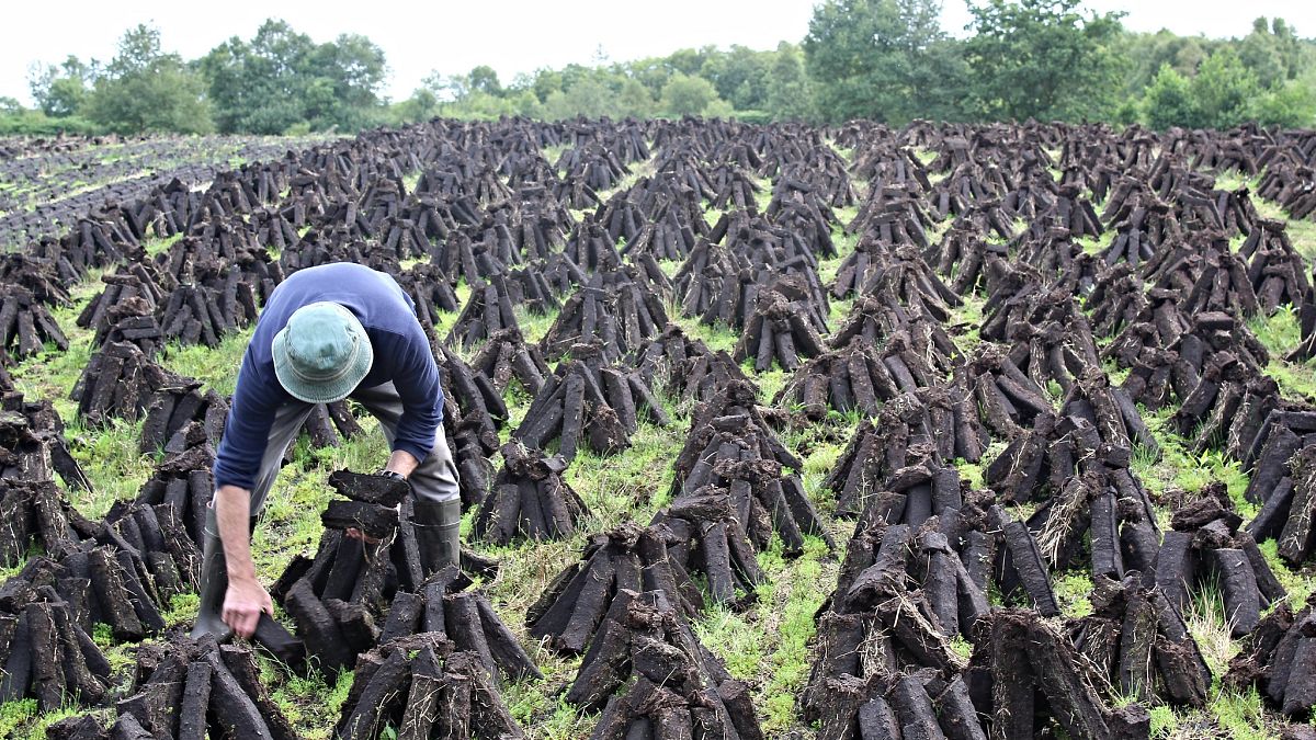 Ireland defends its handling of peat bogs 