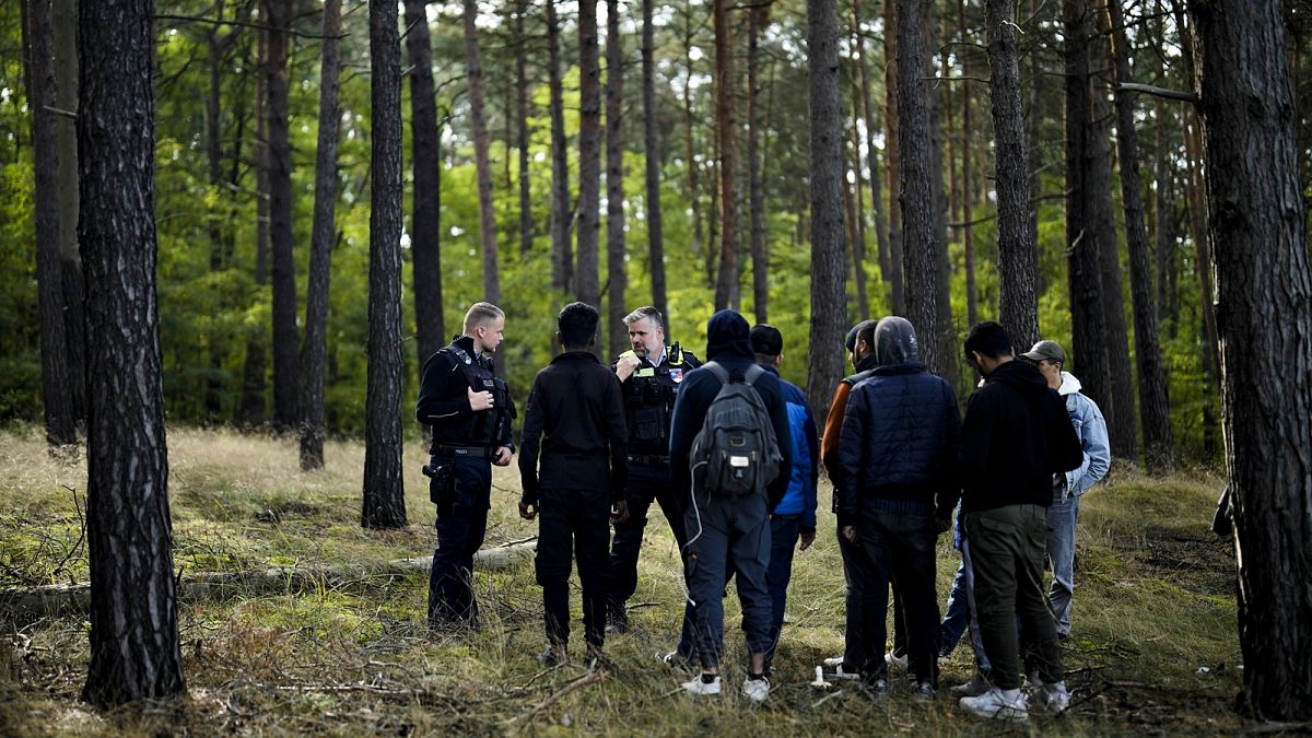 Half of Europeans disapprove of EU migration policy and demand stronger border controls, poll shows 