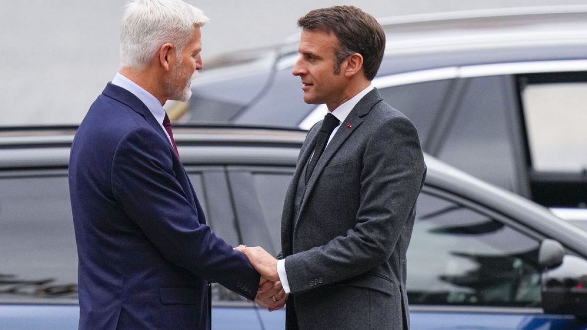 Czech and French leaders pledge support for Ukraine 