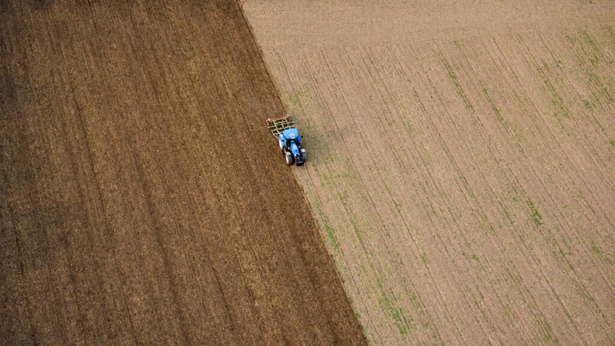 MEPs back law aimed at restoring European soil to health 