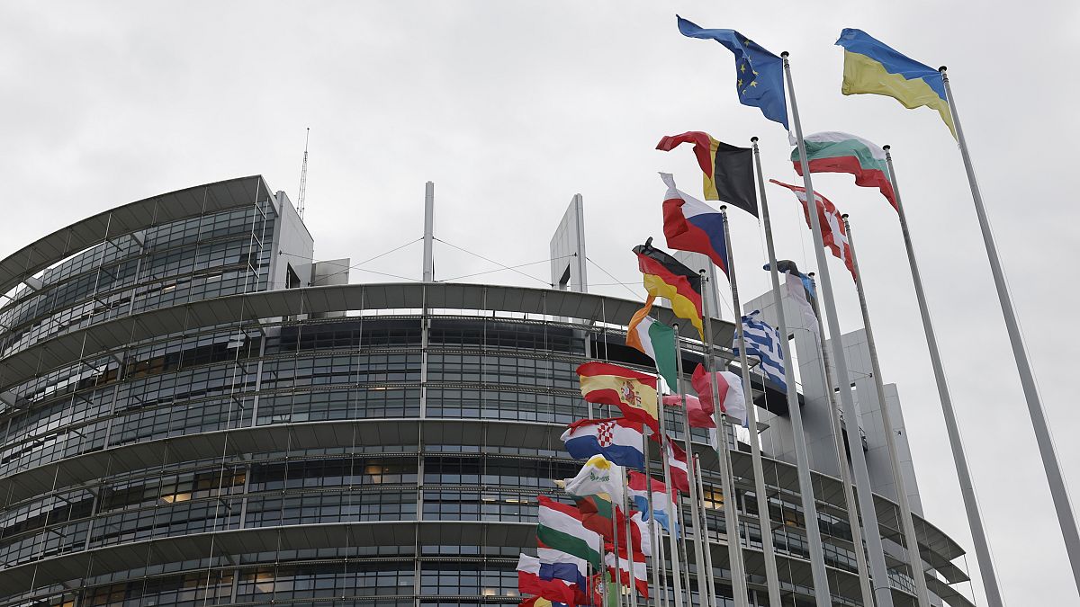 European Parliament adopts resolution against Russian political oppression and the death of Navalny