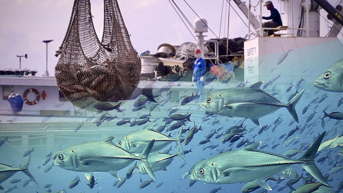 Net gains: how Pacific Island states are securing the future of tuna - and their own 