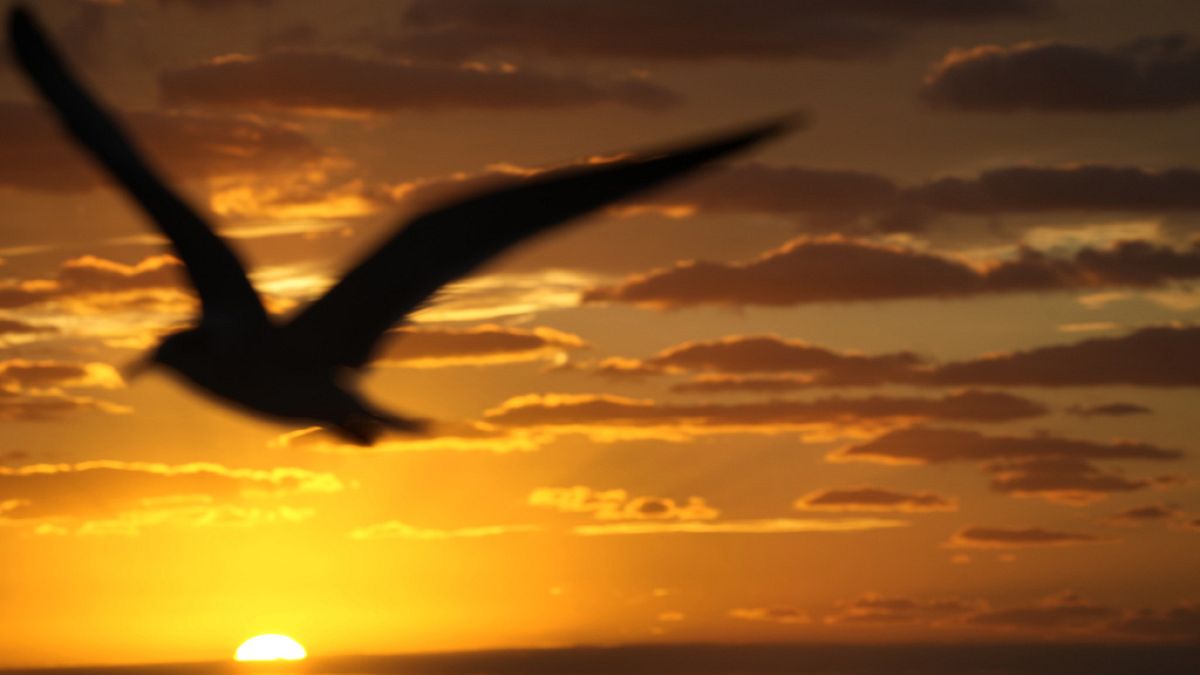 ROUNDUP: Key environment votes in parliament 