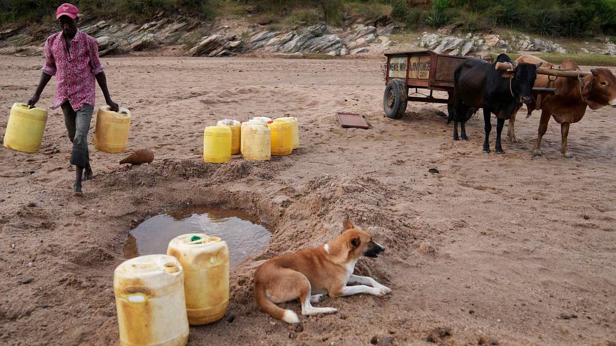 World Water Day: Drought and extreme heat leave people from Morocco to India struggling for water
