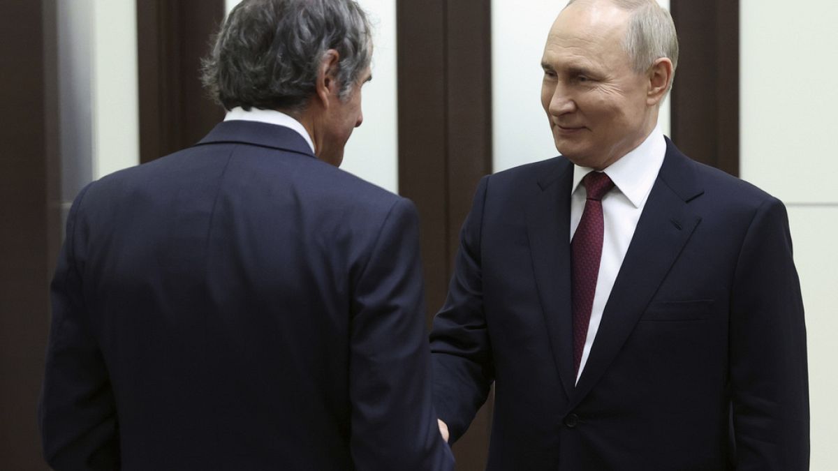 Путин и Гросси обсудили безопасность Запорожской АЭС 