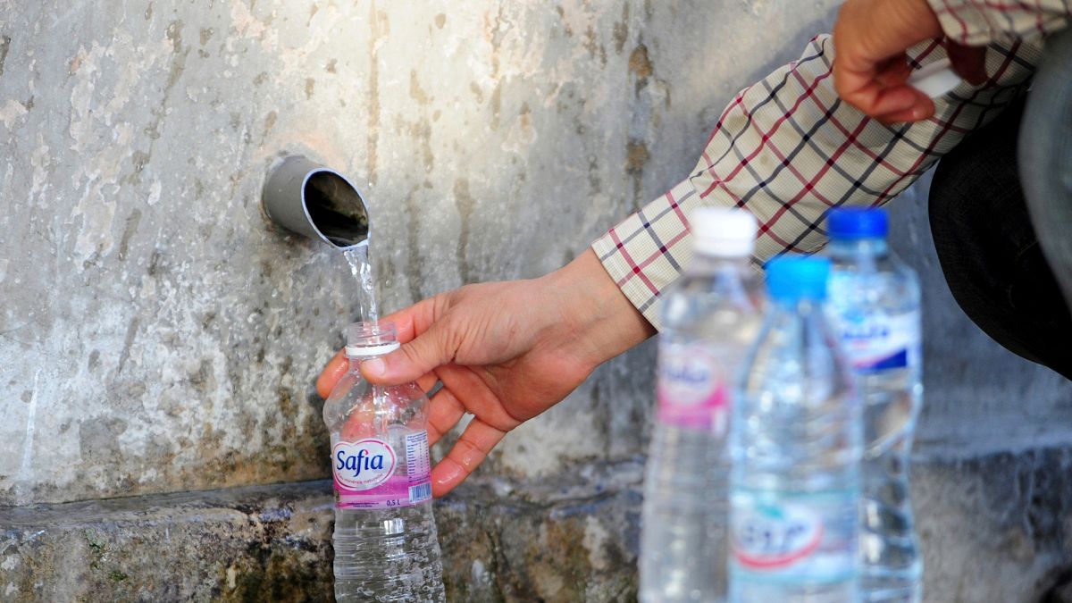 Water restrictions, increased prices and imprisonment: How is Tunisia battling 5 years of drought? 