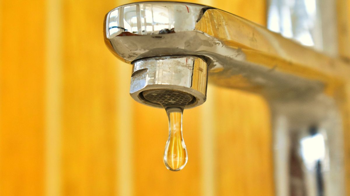 Barcelona gets tough on water rules: 24,000 residents told to use less water amid drought emergency 