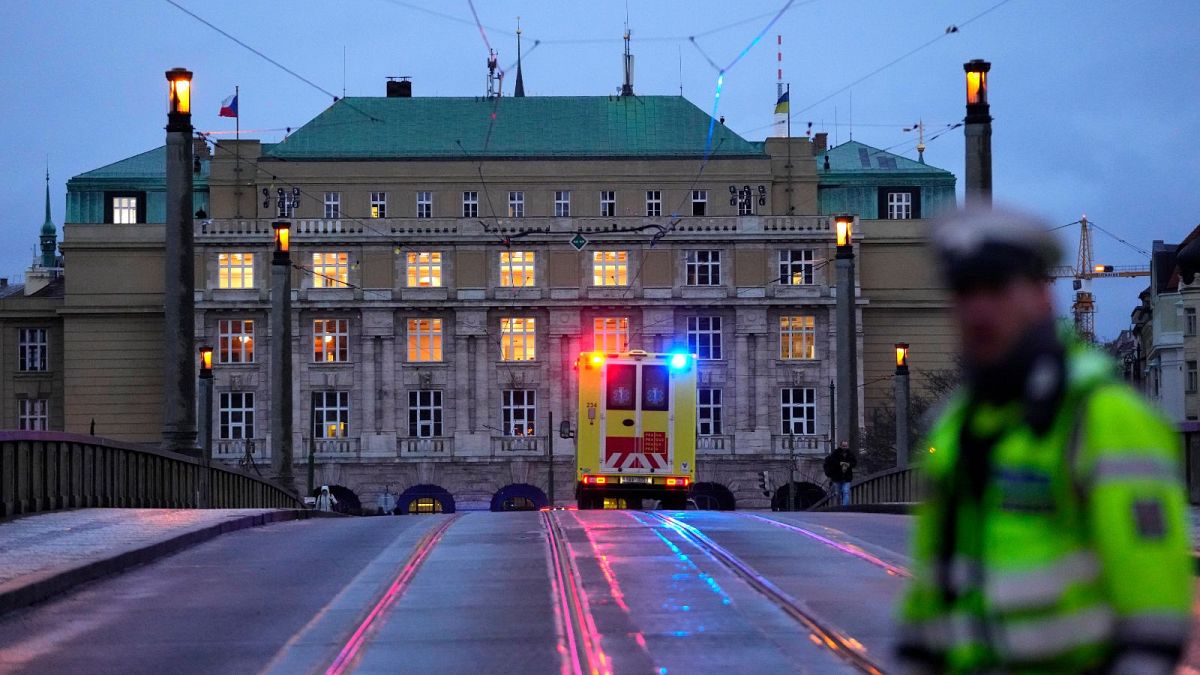 Czech parliament toughens gun laws after December mass shooting 