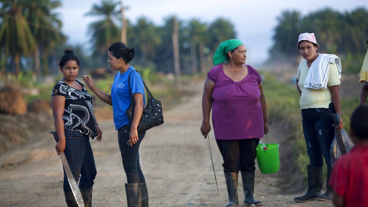 Fighting gender inequality crucial to tackle climate crisis, says UN
