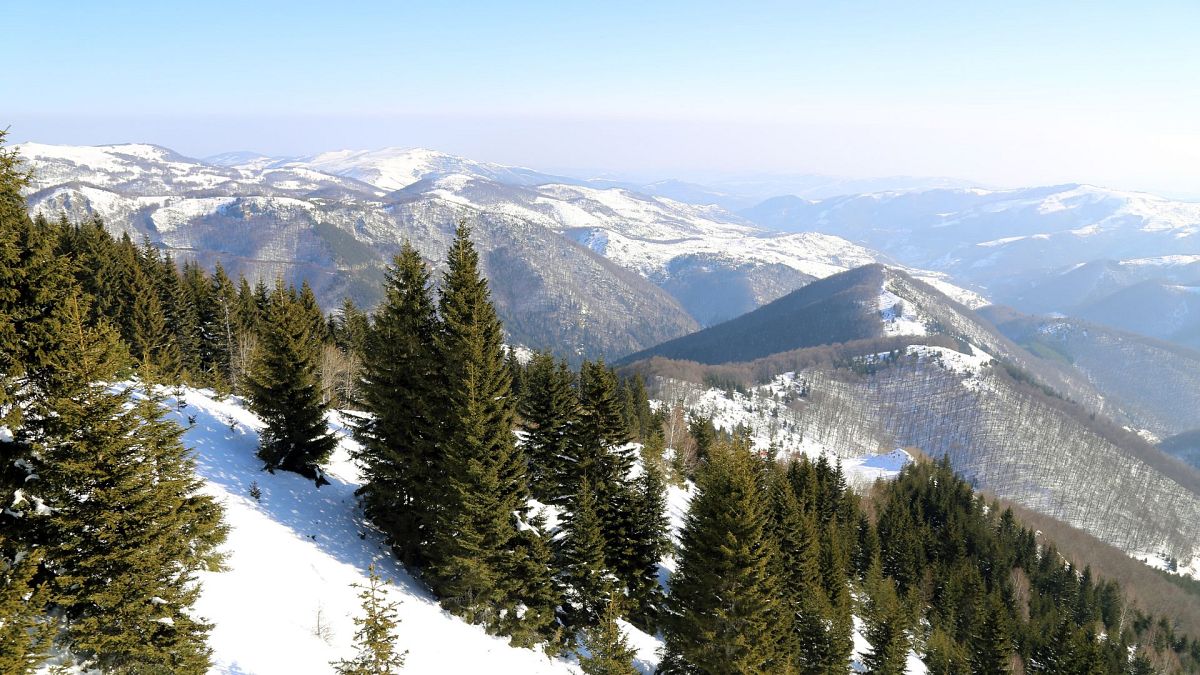 Serbia&rsquo;s national parks are a nature lover&rsquo;s dream: Where to go for vineyards, hiking and history 
