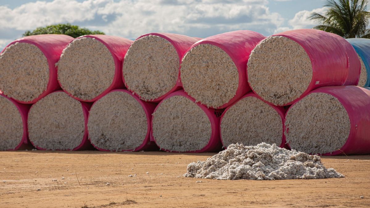 Zara, H&M: The European retail giants tied to land grabbing and deforestation in Brazil 
