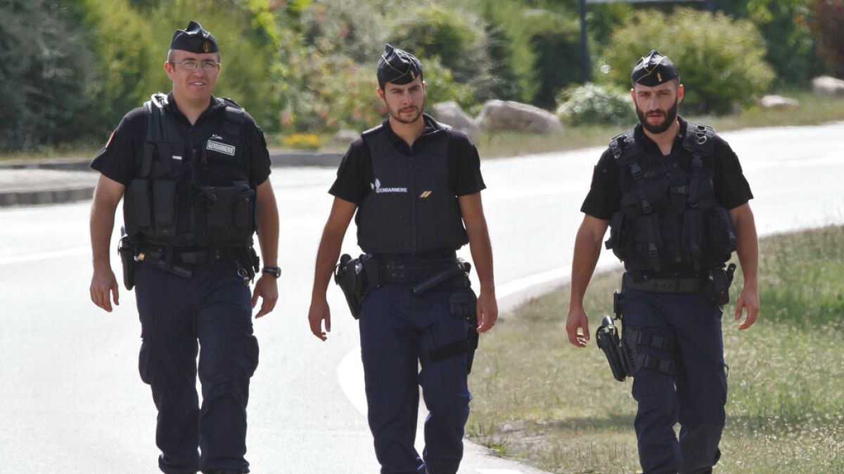 Authorities find remains of missing French toddler Emile Soleil 