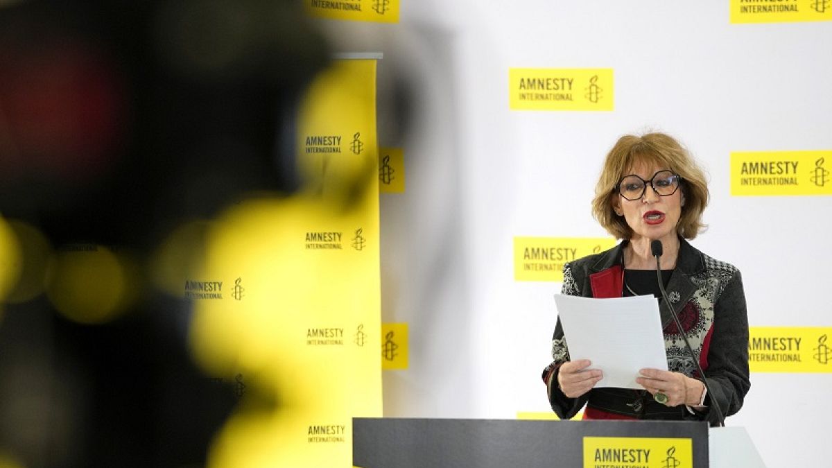Amnesty International бьёт тревогу о "беспрецедентного масштаба нарушениях в Украине и Газе"