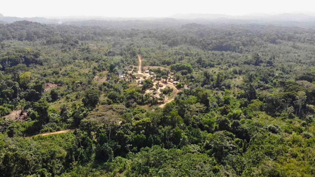 ‘Carbon colonialism’: Locals forced out as Dubai carbon credit company makes land grab in Africa