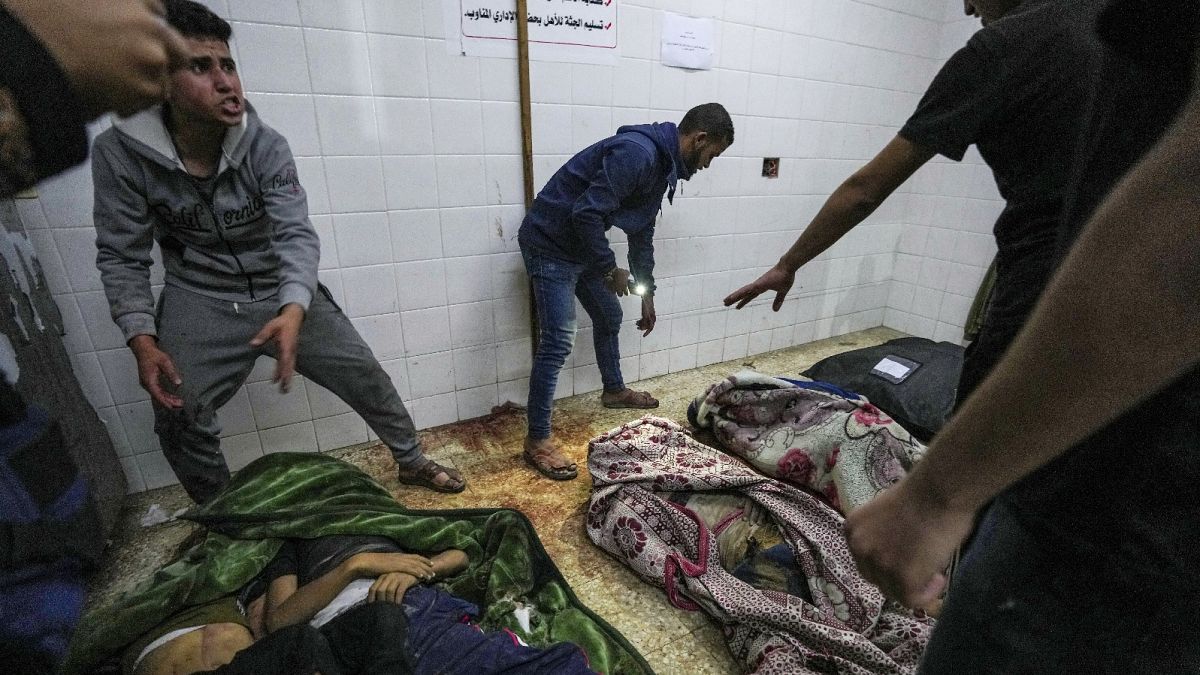 EU must suspend ties with Israel to prevent crimes of genocide in Gaza, UN rapporteur says 