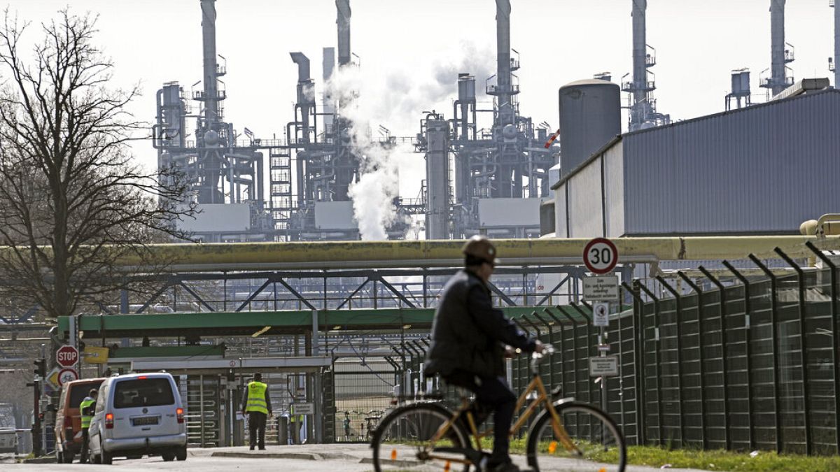 EU jobs crisis as employers say applicants don't have the right skills 
