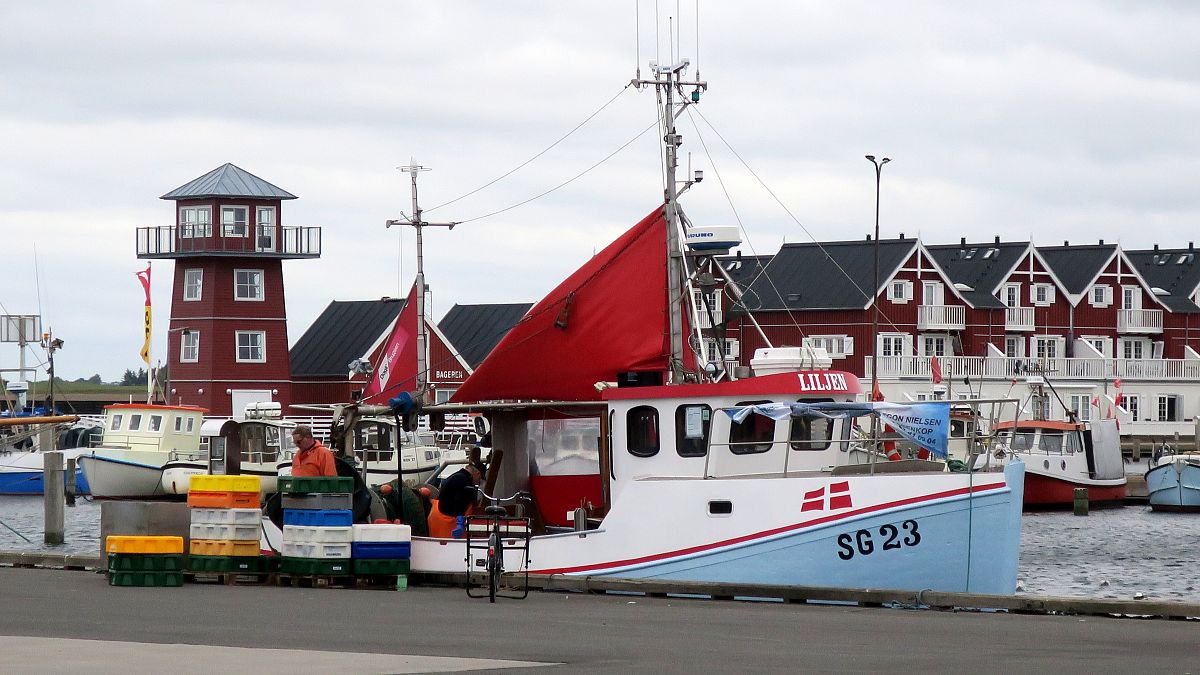 Brussels picks fight over UK ban on sand eel fishing 