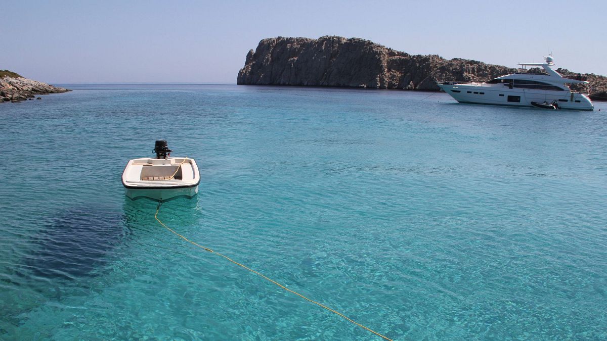 Ocean protection and solar balconies: Positive environmental stories from 2024 