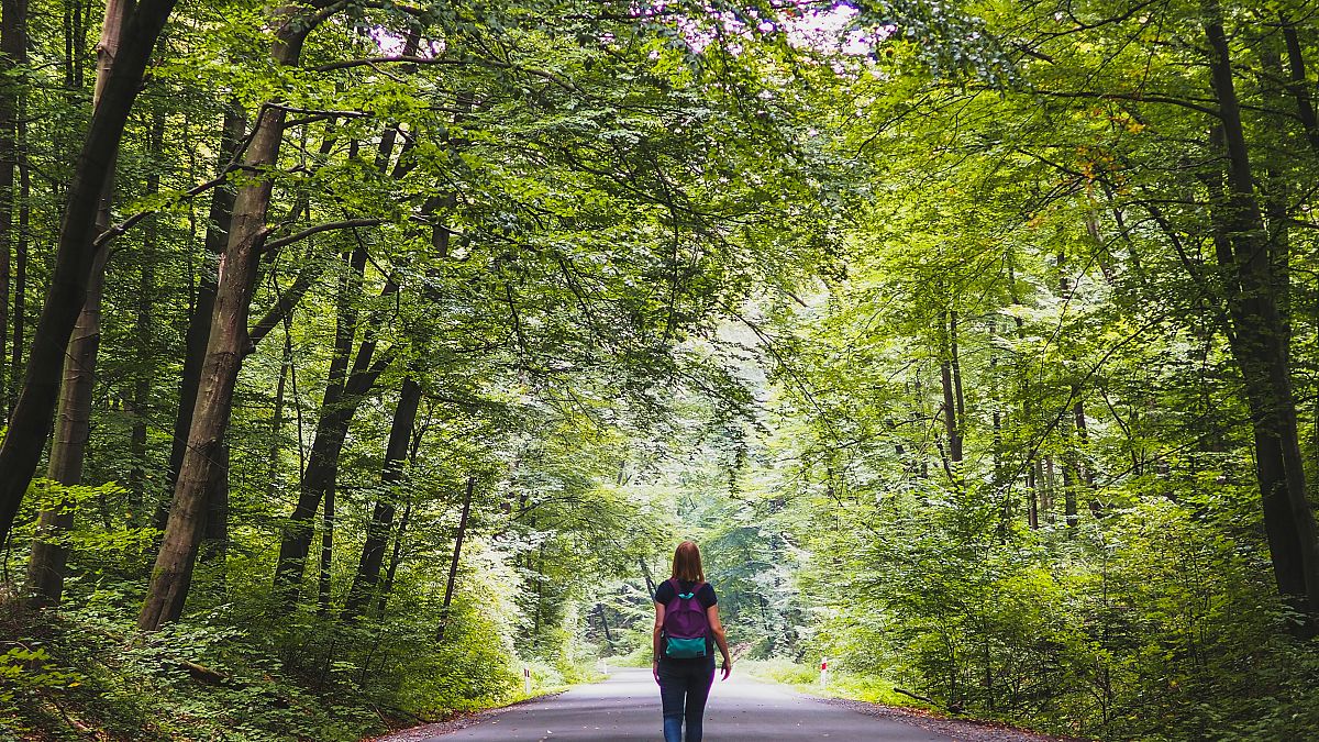 Spain, Scotland, Istria: These disused rail routes have been turned into scenic walking trails 