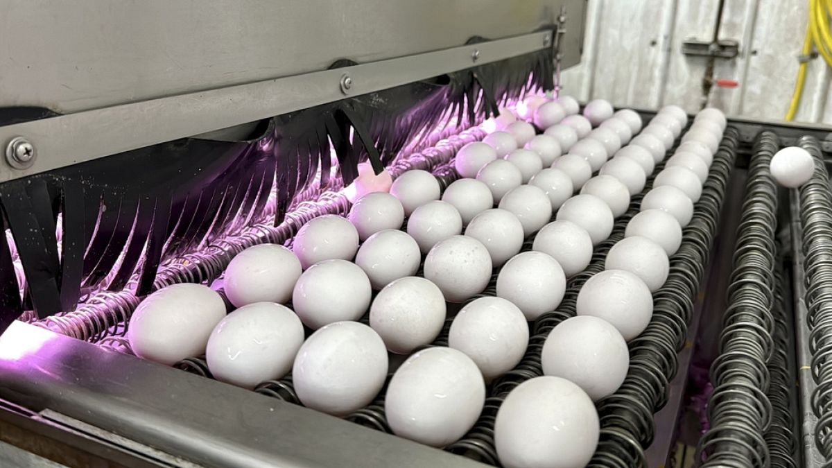 What's keeping egg prices high for Easter? It's not just inflation