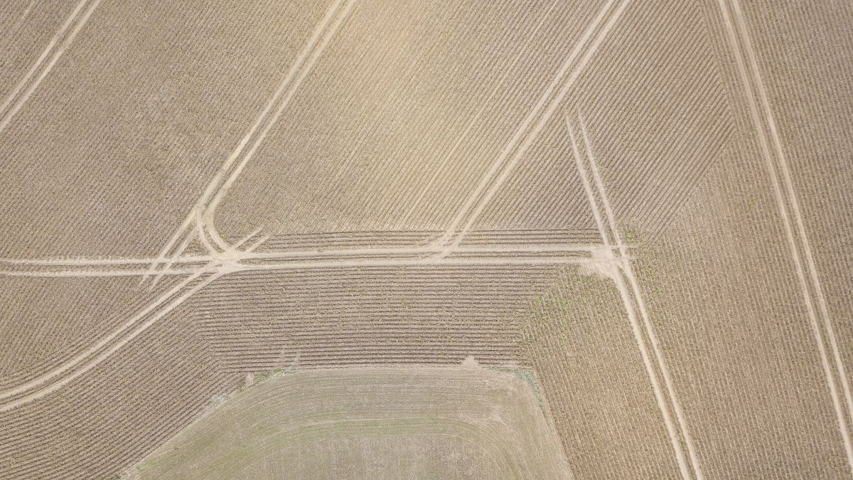 Soil protection law survives plenary vote, but considerably weakened