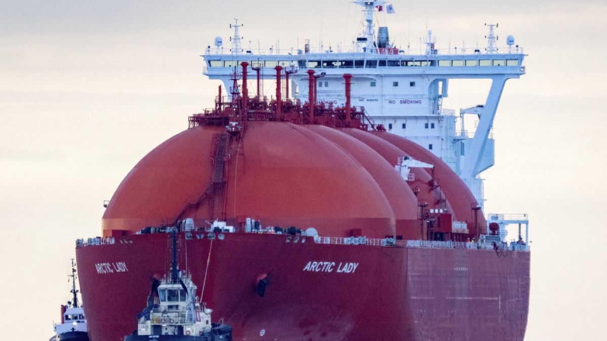 Watchdog urges caution on reducing Russian LNG imports to the bloc