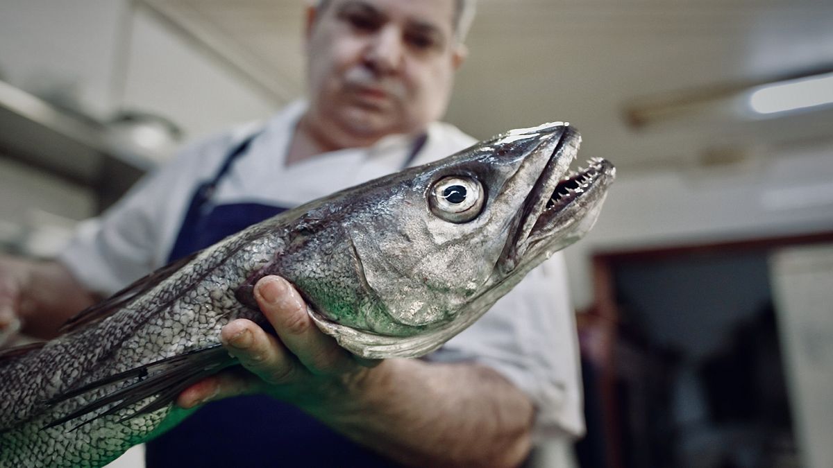 Is hake's remarkable recovery in the Atlantic a sign of hope for our oceans? 