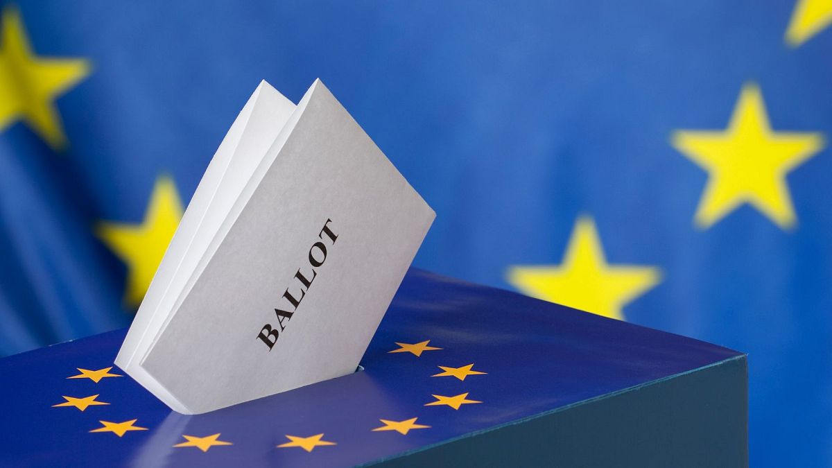 European elections: Top tips to avoid misinformation 