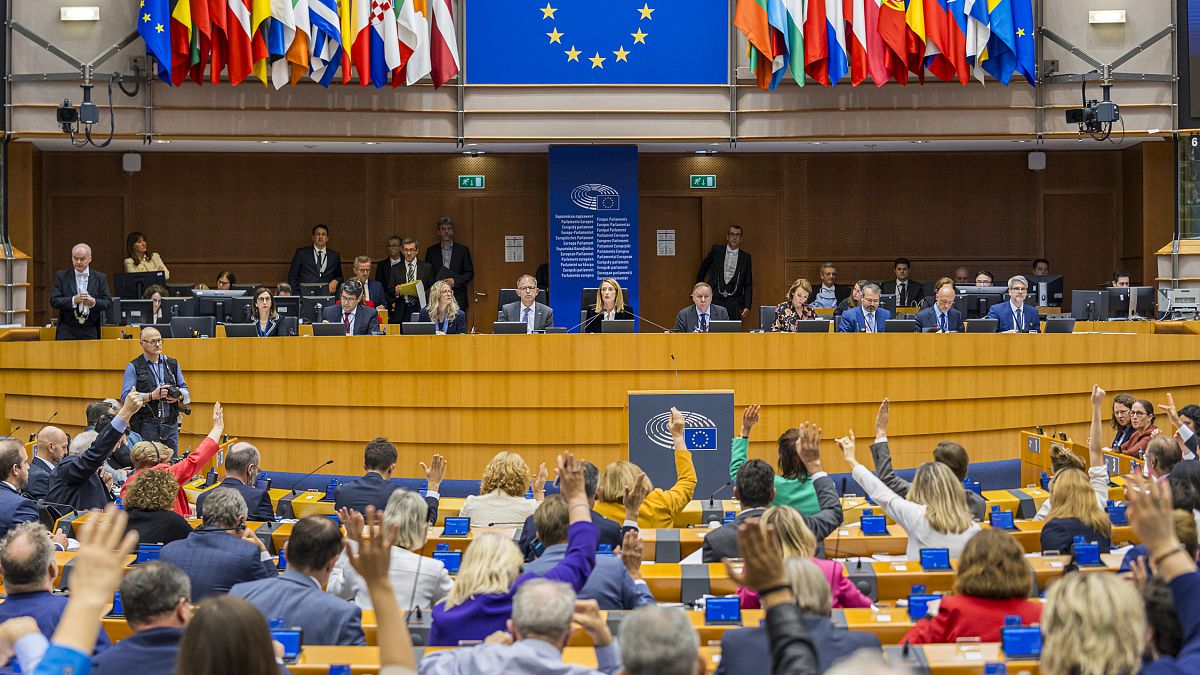 How will the next European Parliament work differently? 