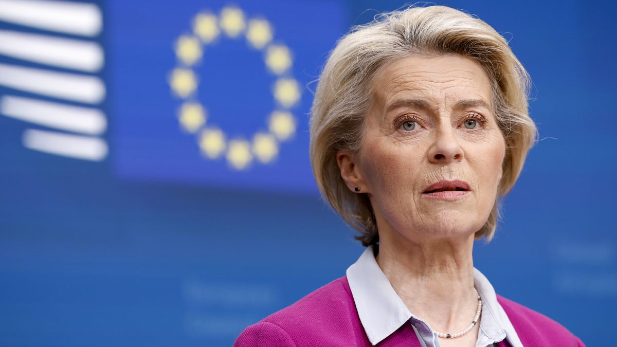 Von der Leyen’s Commission not winning most European hearts and minds, polling suggests