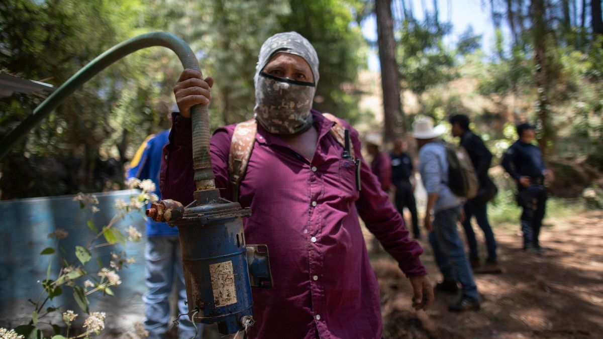 &lsquo;A serious risk&rsquo;: Mexican villagers take on cartel-backed avocado farms as water dries up 